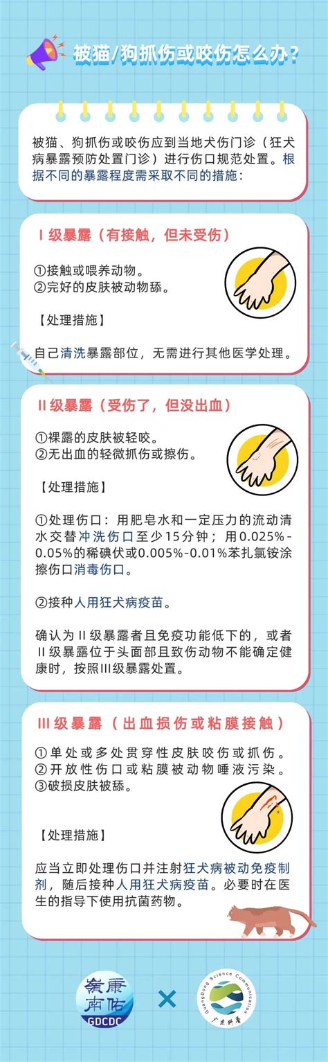 被家养猫狗咬伤，到底要不要打狂犬病疫苗？_广东省疾病预防控制中心网站