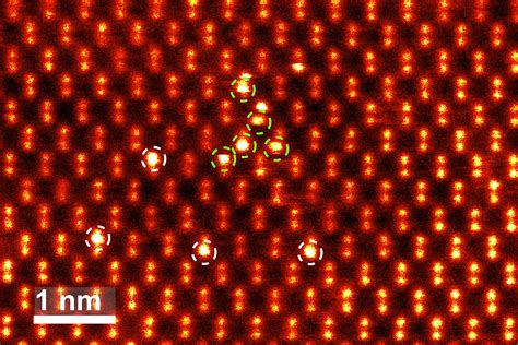 Atom Under Microscope 的图像结果