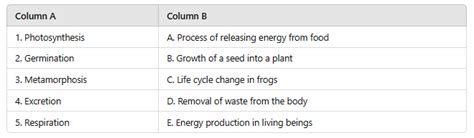 Worksheet: Living Creatures: Exploring their Characteristics - Science ...