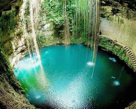 Chanolandia (Playa del Carmen) - All You Need to Know BEFORE You Go