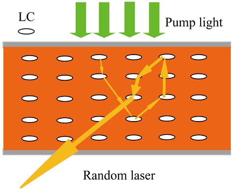 Stability-Enhanced Emission Based on Biophotonic Crystals in Liquid ...
