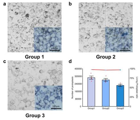 A Rapid and Efficient Method for Isolation and Transformation of Cotton ...