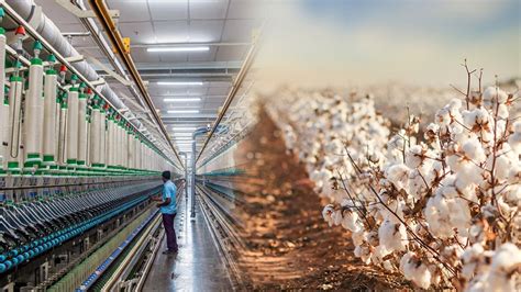Cotton Industry 的图像结果