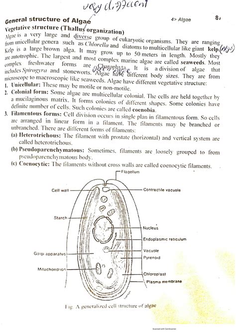 SOLUTION: Kingdom protista (Algae). Structure of algae and their cell Structure and life cycle ...