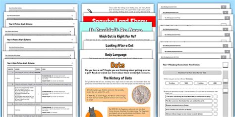 SATs Reading Papers Year 4 | Primary Resources
