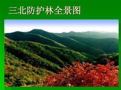 中国林业生态工程_word文档在线阅读与下载_免费文档