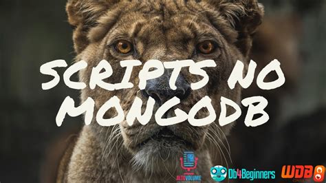 Image result for MongoDB Script
