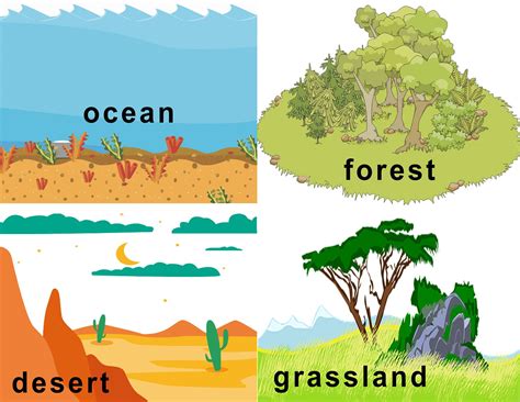 FREE Animal Habitat Flashcards | Animal habitats, Habitats, Grassland ...