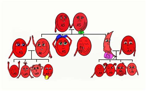 Image result for Applying SCD