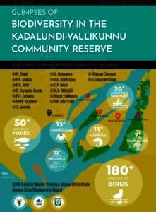 Glimpses of biodiversity in the Kadalundi-Vallikunnu Community Reserve ...