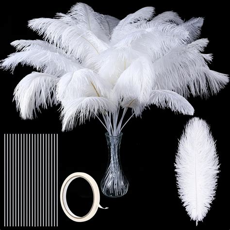 White Large Feathers for Vase and Centerpieces: 24 Pcs 20-24 Inches ...