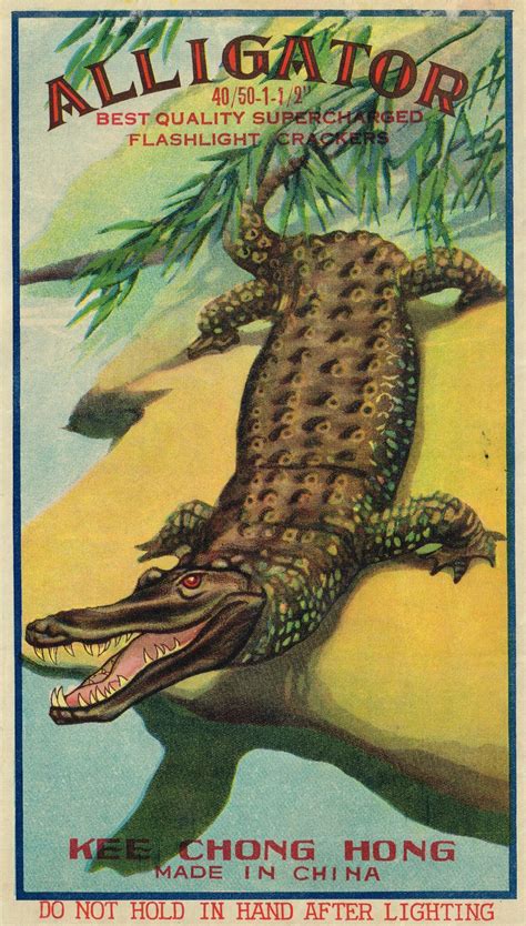 Image result for Firework Labels