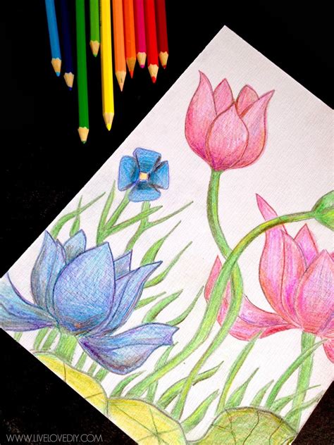 Drawing Colored Pencils Beginners at Alejandra Henning blog