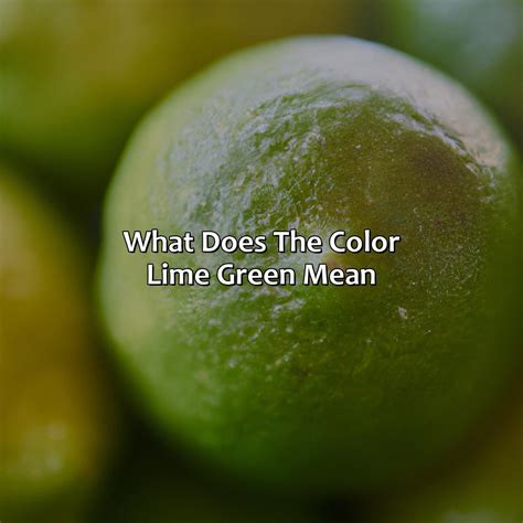 What Does The Color Dark Green Mean - colorscombo.com