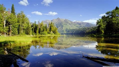 WILD 的图像结果