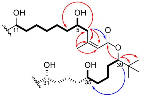 Palstimolide A: A Complex Polyhydroxy Macrolide with Antiparasitic Activity
