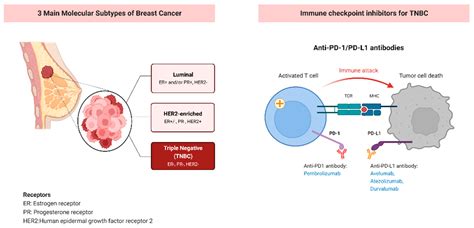 Progress and Challenges of Immunotherapy Predictive Biomarkers for Triple Negative Breast Cancer ...