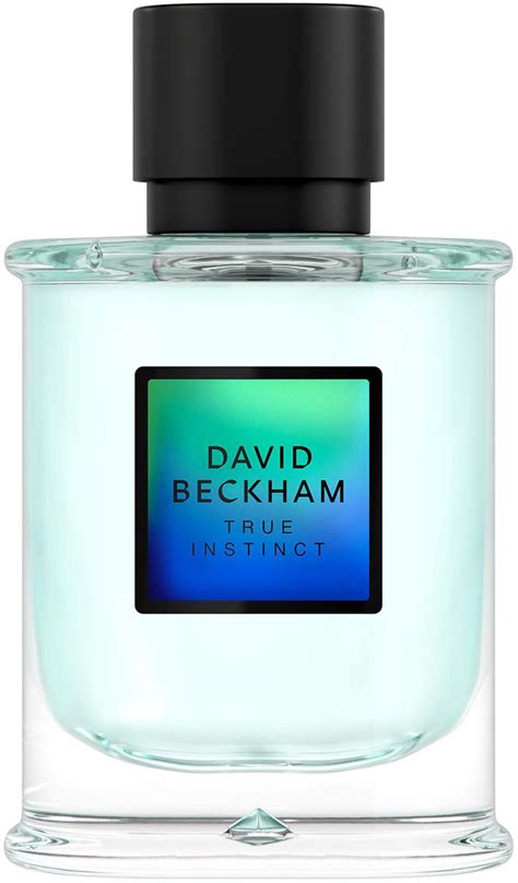 David Beckham True Instinct True Instinct Eau de Parfum For Men 75 ml ...