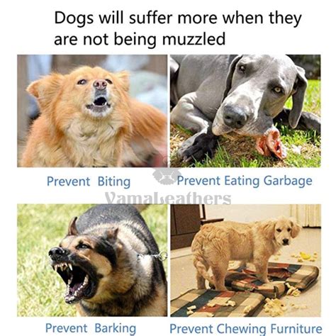 Anti Bite Muzzle. All Day Use. Soft & Durable. Vama Leathers.