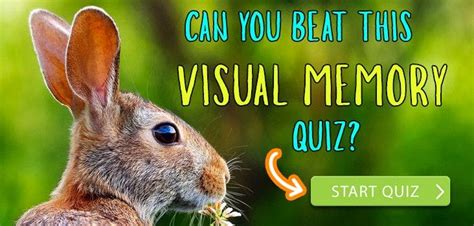 Visual Memory Test