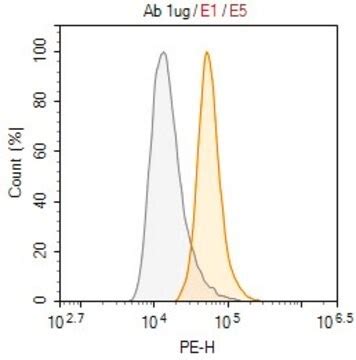Anti-HHV-8 LNA-1 Antibody, clone 5L10 ZooMAb® Rabbit Monoclonal ...