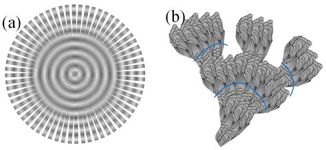 Microbeam X-ray and Scanning Electron Microscopic Analyses on Sector ...