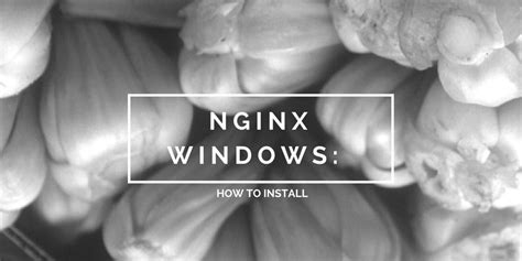 Image result for Nginx Windows Tutorial
