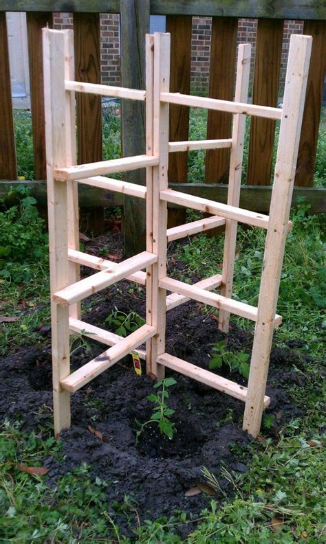 diy tomato trellis