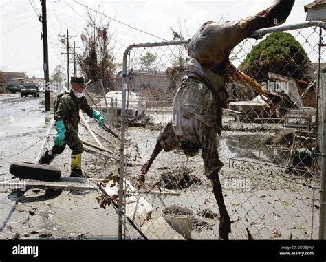 Hurricane Katrina Bodies