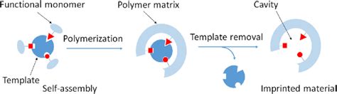 Mar MIP Tutorial 的图像结果