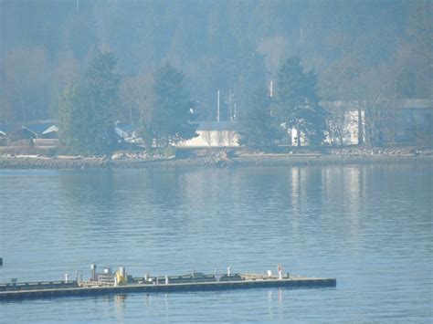 What Is Extended Release 的图像结果