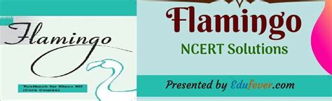 Image result for Flamingo English Class 12