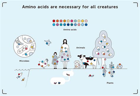 Protein Complex Structure 的图像结果