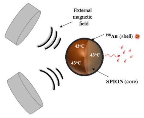 IJMS | Special Issue : Targeting Therapy for Cancer