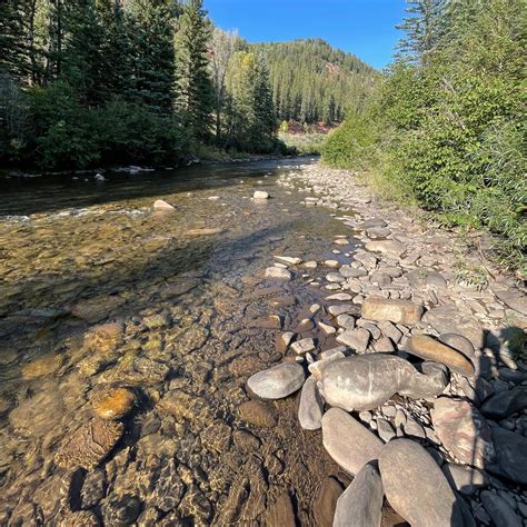 Priest Gulch Campground and RV Park Cabins and Lodge Camping | The Dyrt