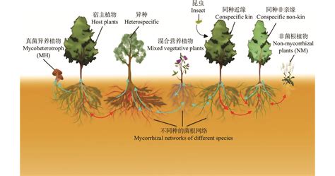 科学网—环境微生物之真菌 - 王从彦的博文