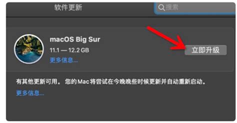 Mac系统升级Big Sur播放视频和音乐出问题