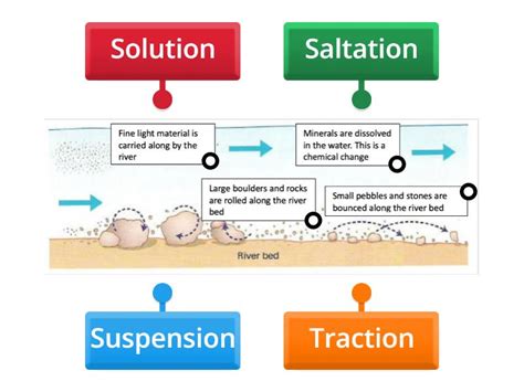 Different Types of Transportation System 的图像结果
