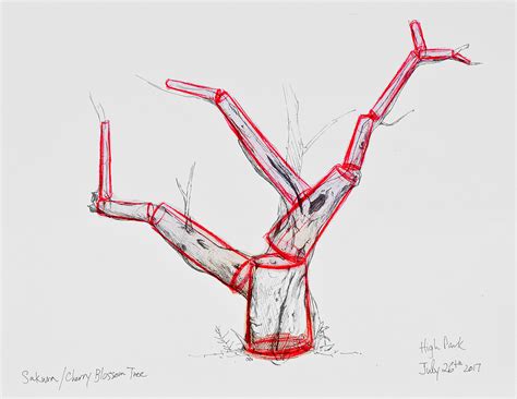 Sketching Tree Limbs 的图像结果