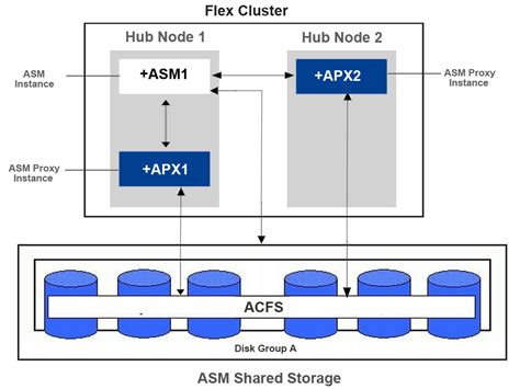 Oracle ASM Tutorial 的图像结果