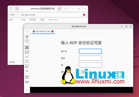 RDP Linux 的图像结果