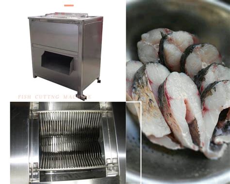 Image result for Fish Exercise Machine