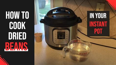 Instant Pot Tutorial 的图像结果