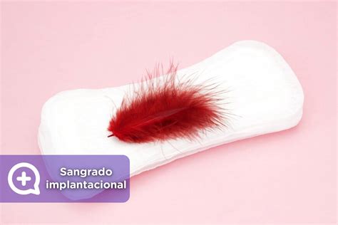 Sangrado De Implantación: Qué Es Y Cómo Diferenciarlo De La Menstruación – KOLH