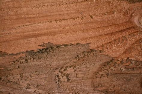 Close up shot of the plank wood texture | Premium Photo