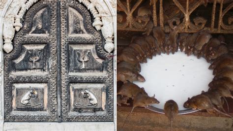 Shardiya Navratri 2025: Every Devotee Should Visit THESE 5 Temples For ...