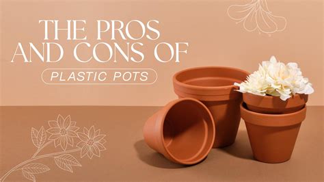 Pros and Cons of Plastic Pots: What You Need to Know