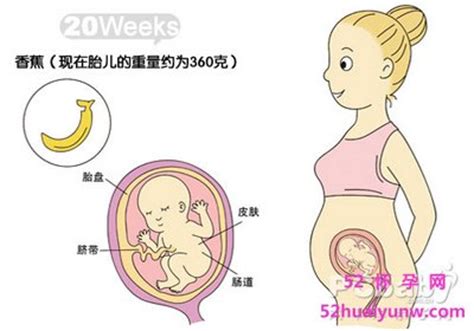 请问怀孕早期胎儿位置偏低会严重吗？我B超图显示的请问有没有问题呢？ - 百度宝宝知道