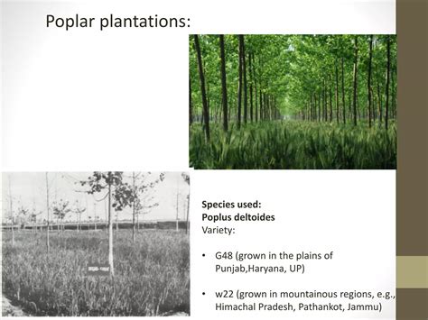 Agroforestry Systems 的图像结果