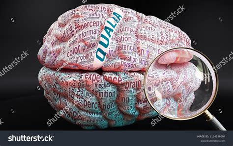 Image result for Qualia Explained